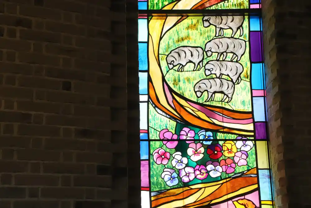 聖イグナチオ教会 主聖堂 ステンドグラス「野の花と道」に描かれた羊