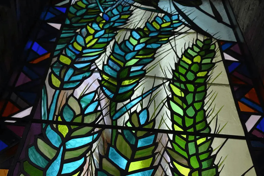 聖イグナチオ教会 主聖堂ステンドグラス「麦」